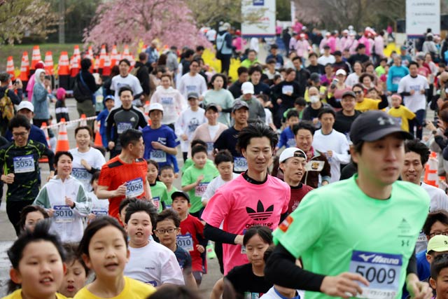 ��������}���\�����