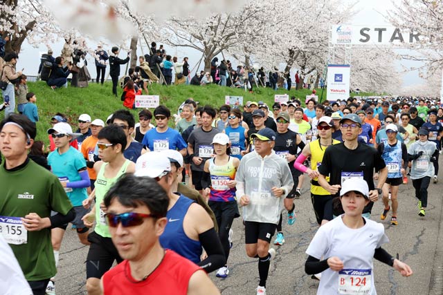 ��������}���\�����