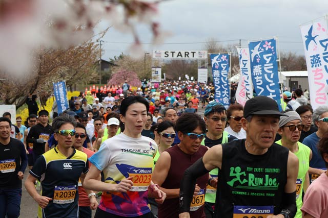 ��������}���\�����